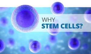 Cendant Health Stem Cell Therapy